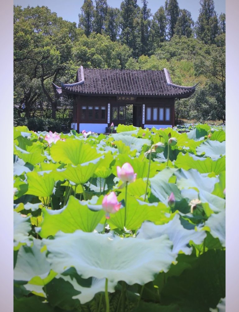 杭州夏天哪儿凉快，九溪踩水竹径发呆刚刚好