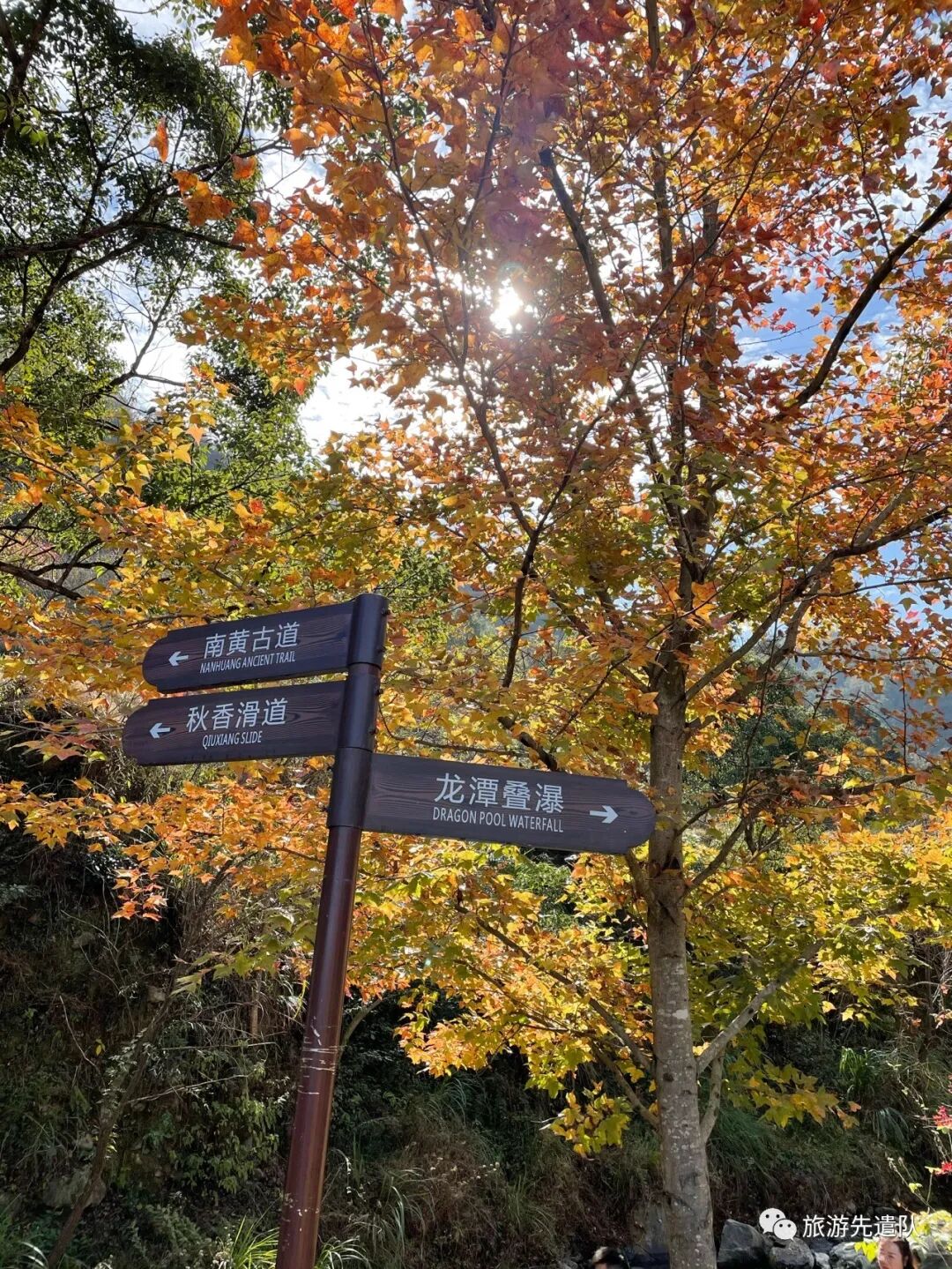 江浙沪赏秋一定要去的红枫古道!天台这条古道实在是美得不像话|南黄古道穿越攻略