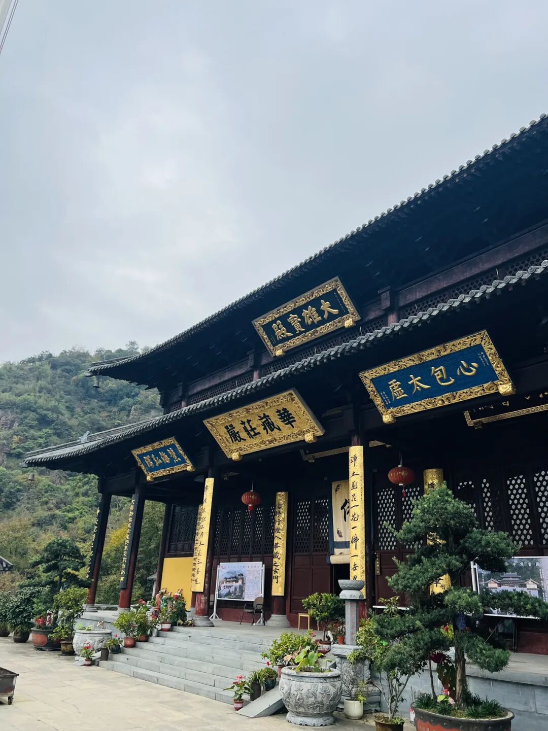 美哭了！徒步半小时登顶就可以俯瞰整个湘湖美景｜杭州老虎洞山7km带娃徒步太赞了