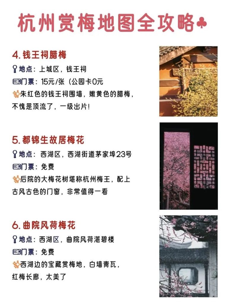 2026杭州梅花已开｜Top12绝美免费赏梅点！收藏