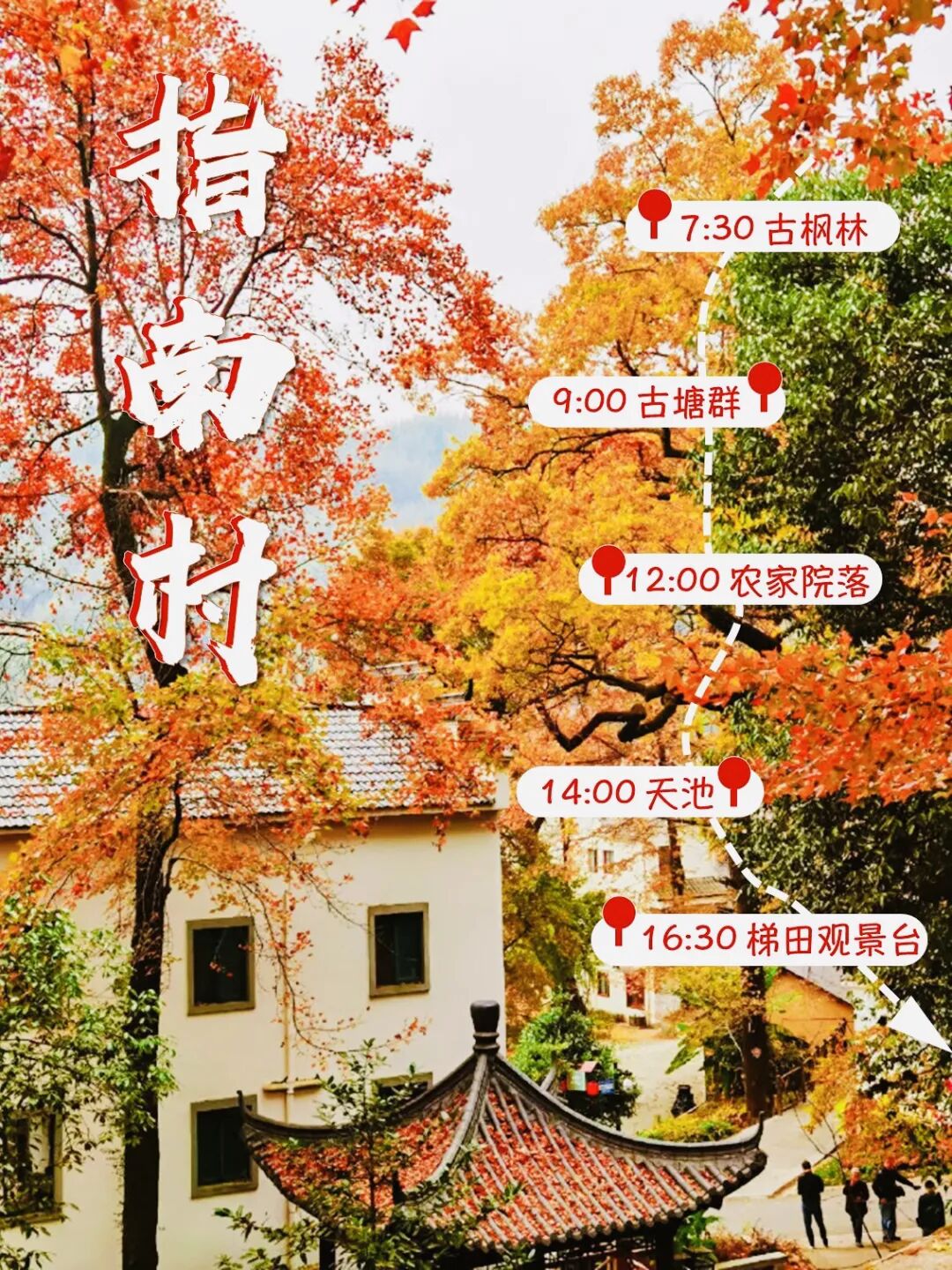 无限次返场的赏秋好去处|华东高山村落徒步赏秋天花板,带你登高俯瞰千年古村的秋日史诗!临安指南村赏秋攻略