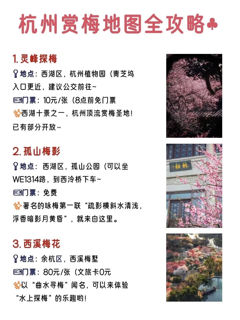 2026杭州梅花已开|Top12绝美免费赏梅点!收藏