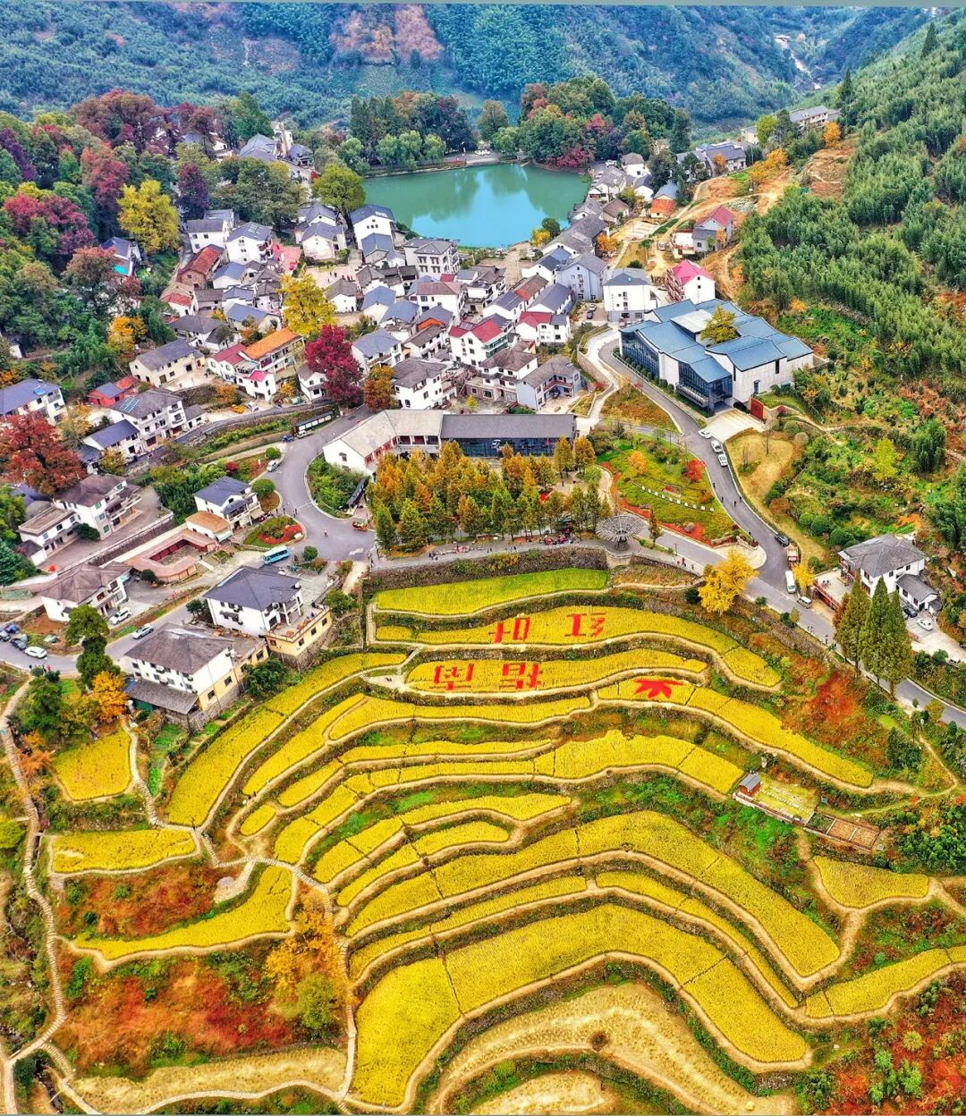 无限次返场的赏秋好去处|华东高山村落徒步赏秋天花板,带你登高俯瞰千年古村的秋日史诗!临安指南村赏秋攻略