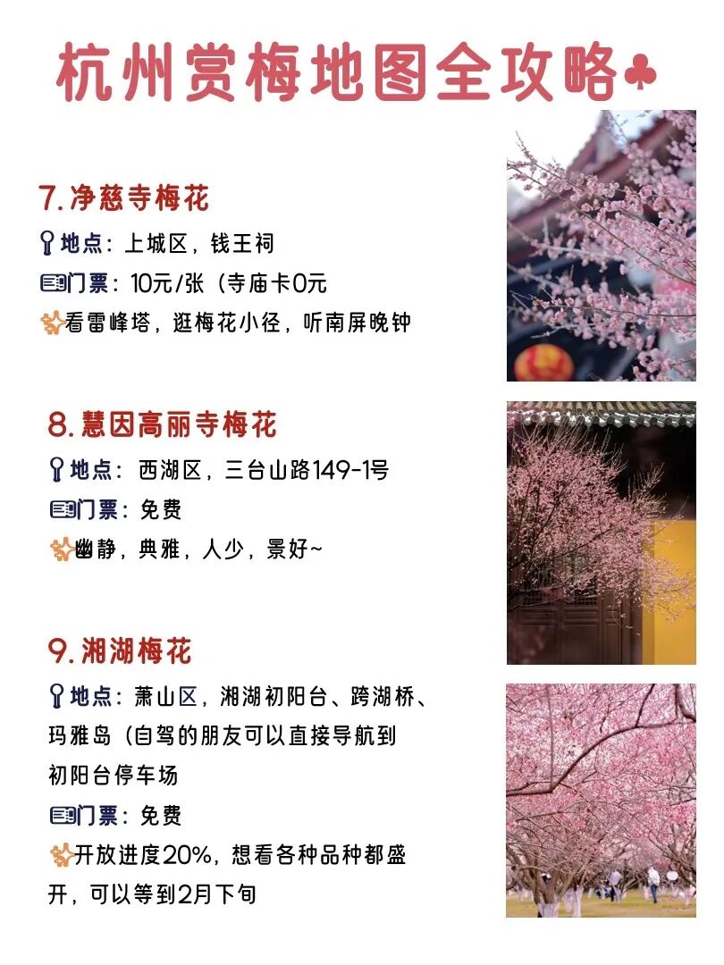 2026杭州梅花已开|Top12绝美免费赏梅点!收藏