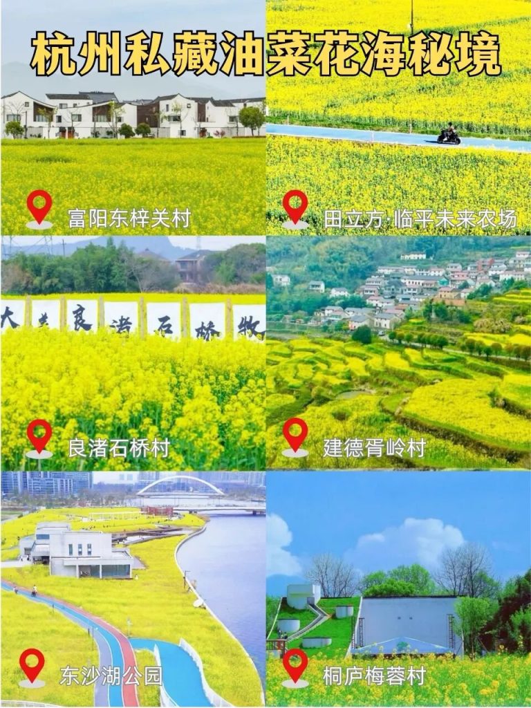 杭州7处油菜花，城区半小时可达