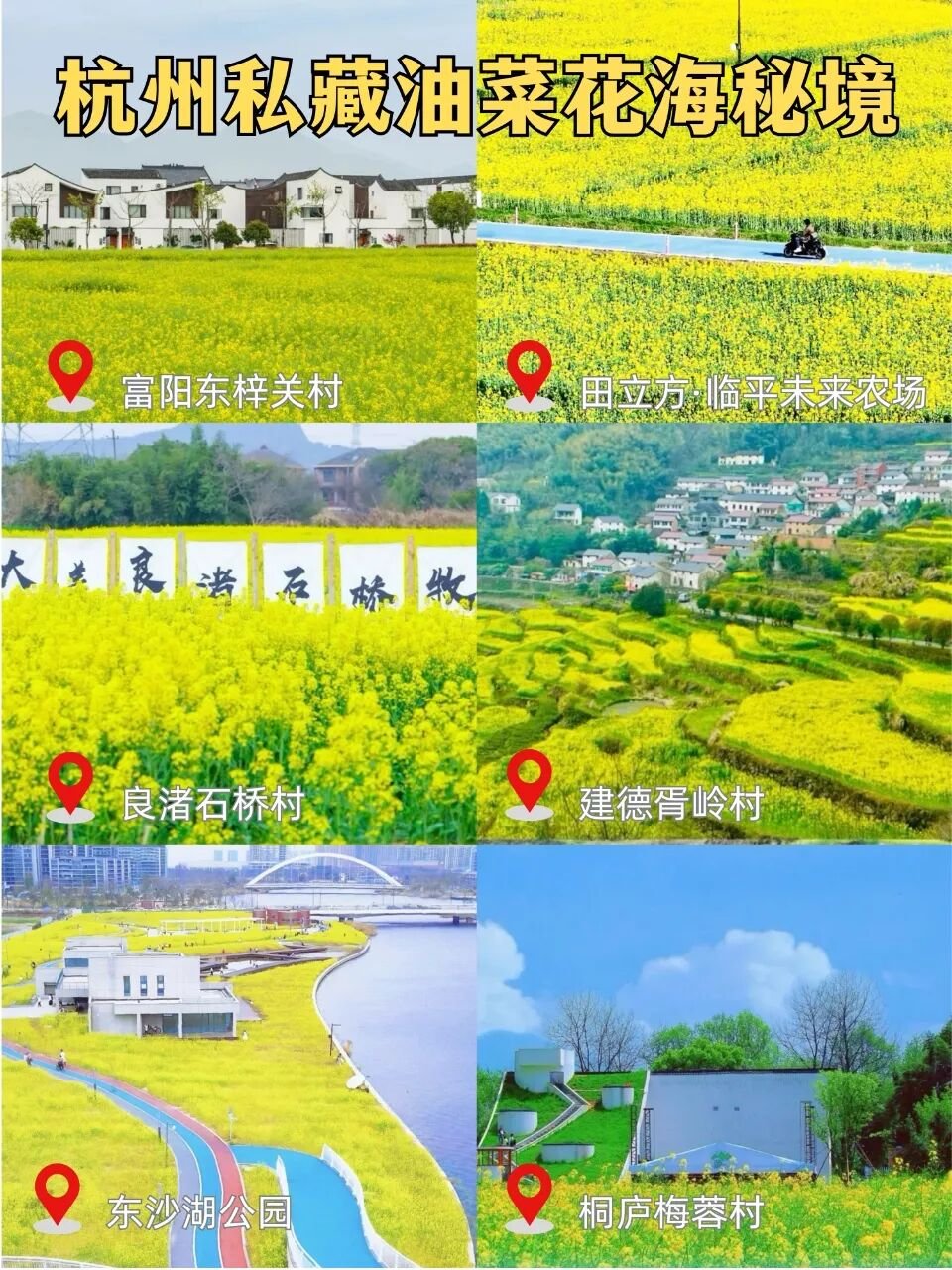 油菜花开时,杭州整个都亮了