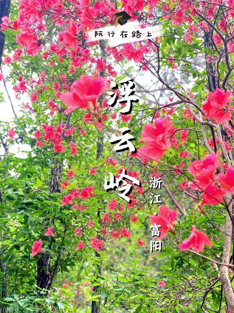 浮云岭映山红3要点+1h直达路线