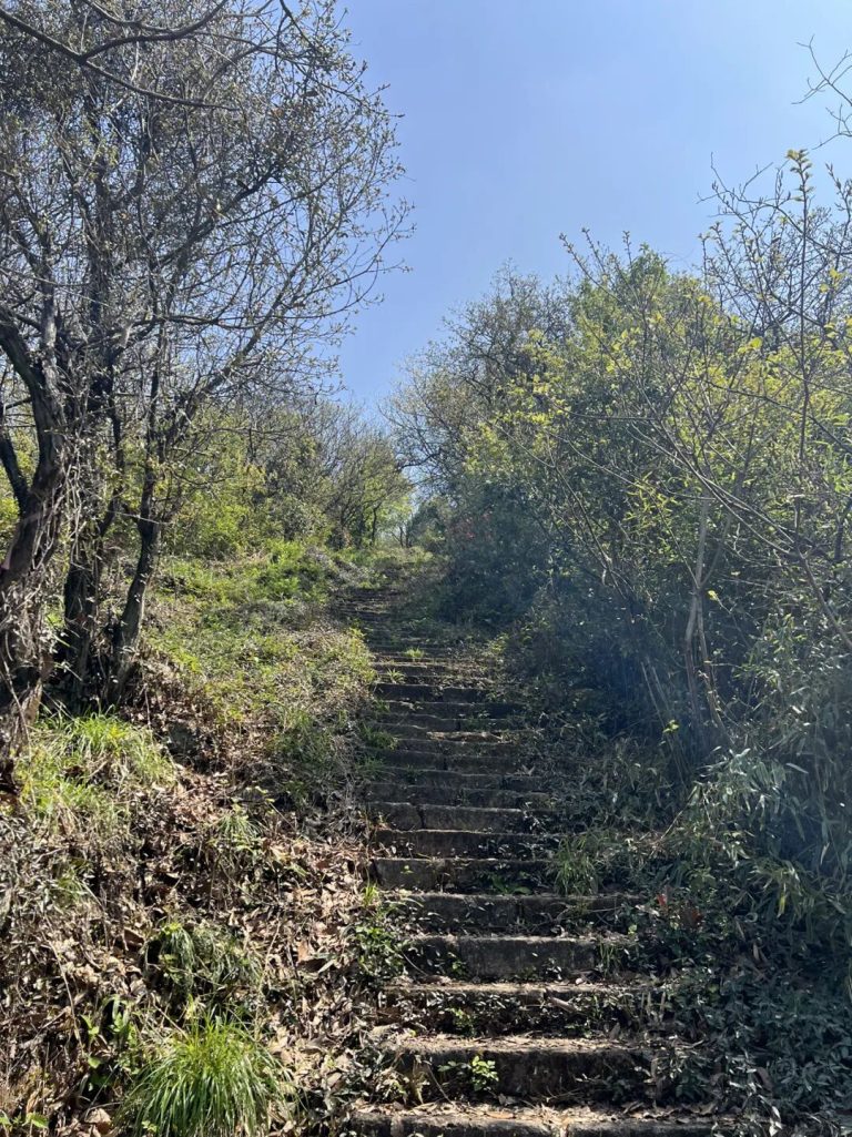 杭州城北藏了座山，半小时到却像进山林