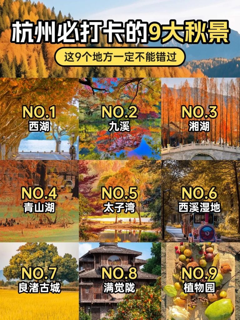 黄山9处私藏机位，去之前先看这篇避坑