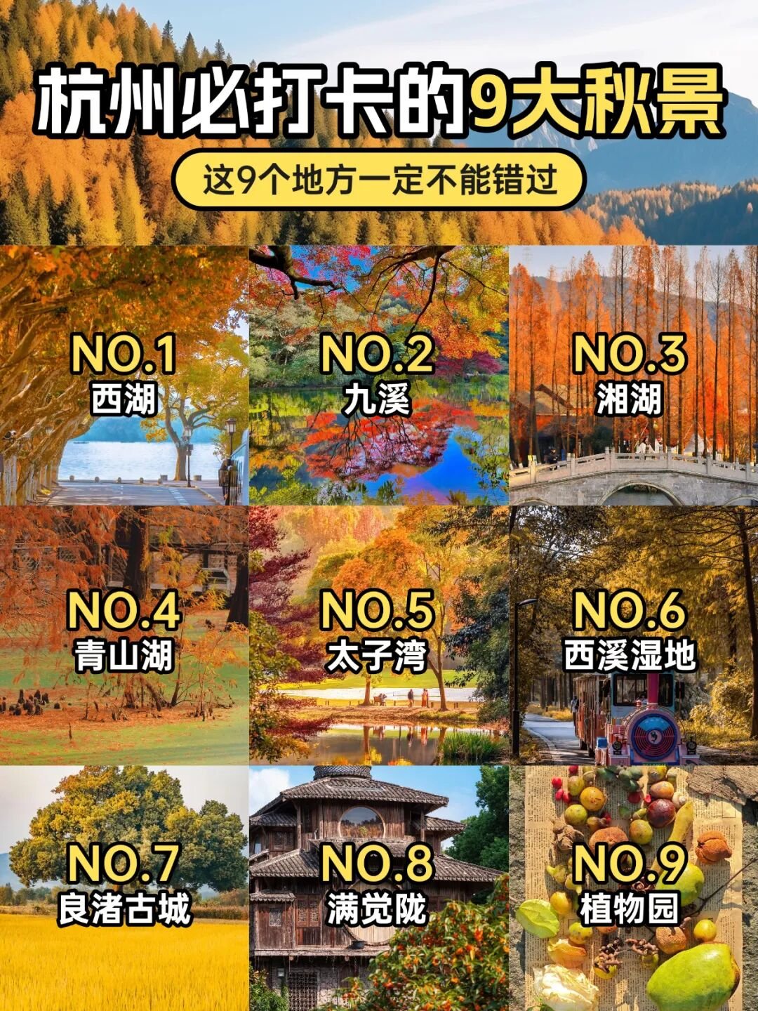 黄山回来第3天,还在想峡谷里那场雾