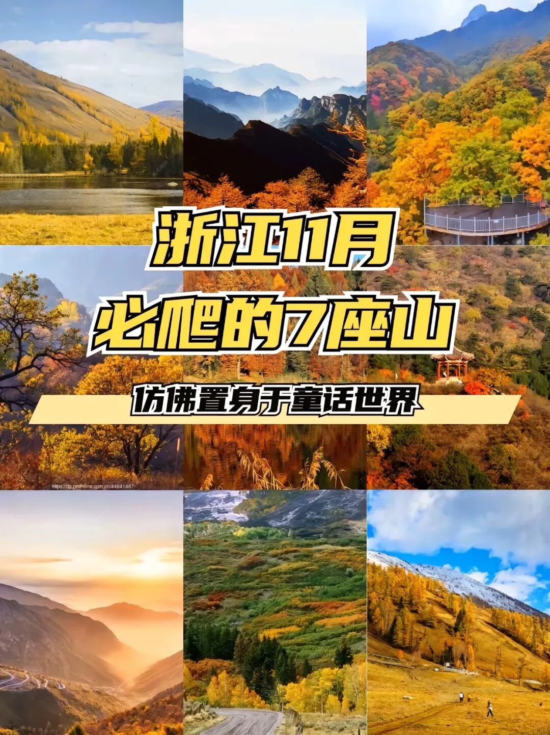 秋天爬这7座山浙江秋色不输京都