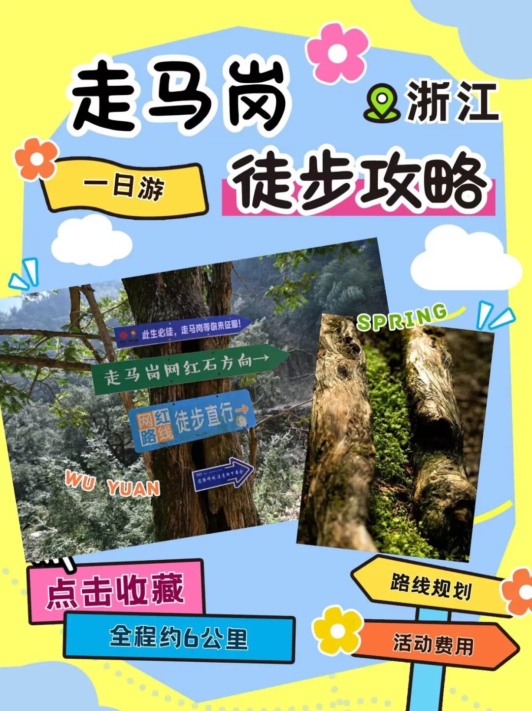 走马岗千年香榧林,安静得不像话