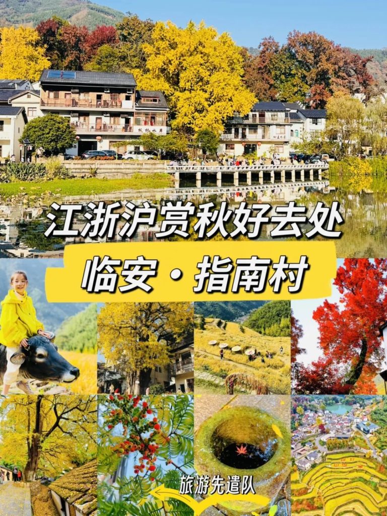 时令玩法｜指南村赏秋全攻略5个要点