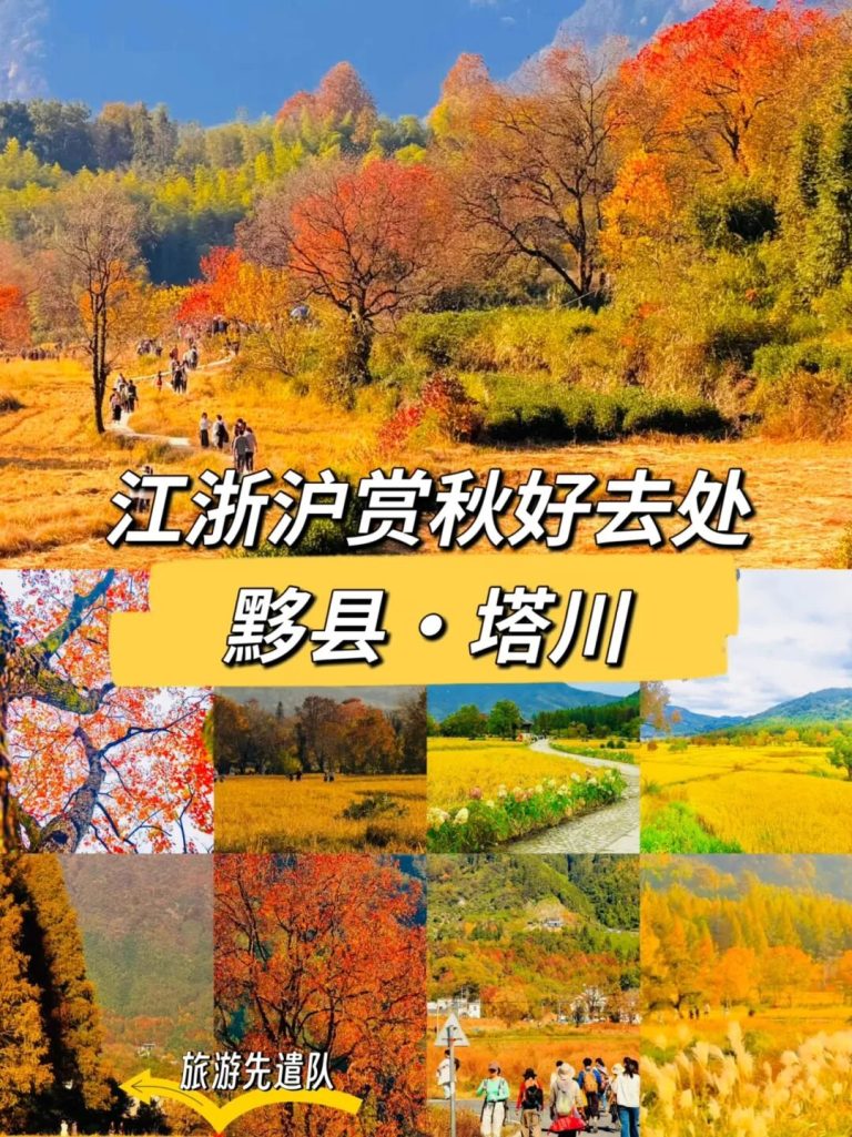塔川赏秋5项实用信息+3条避坑，杭州自驾4h