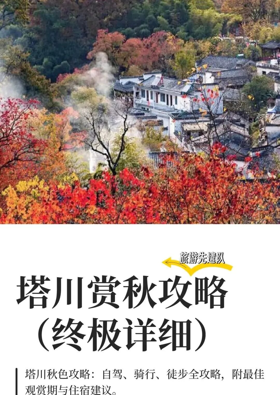 塔川的秋天只有三周，错过了就真的要等一年