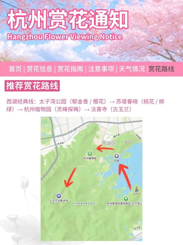 杭州赏花季来了，这份时间表刚好用得上