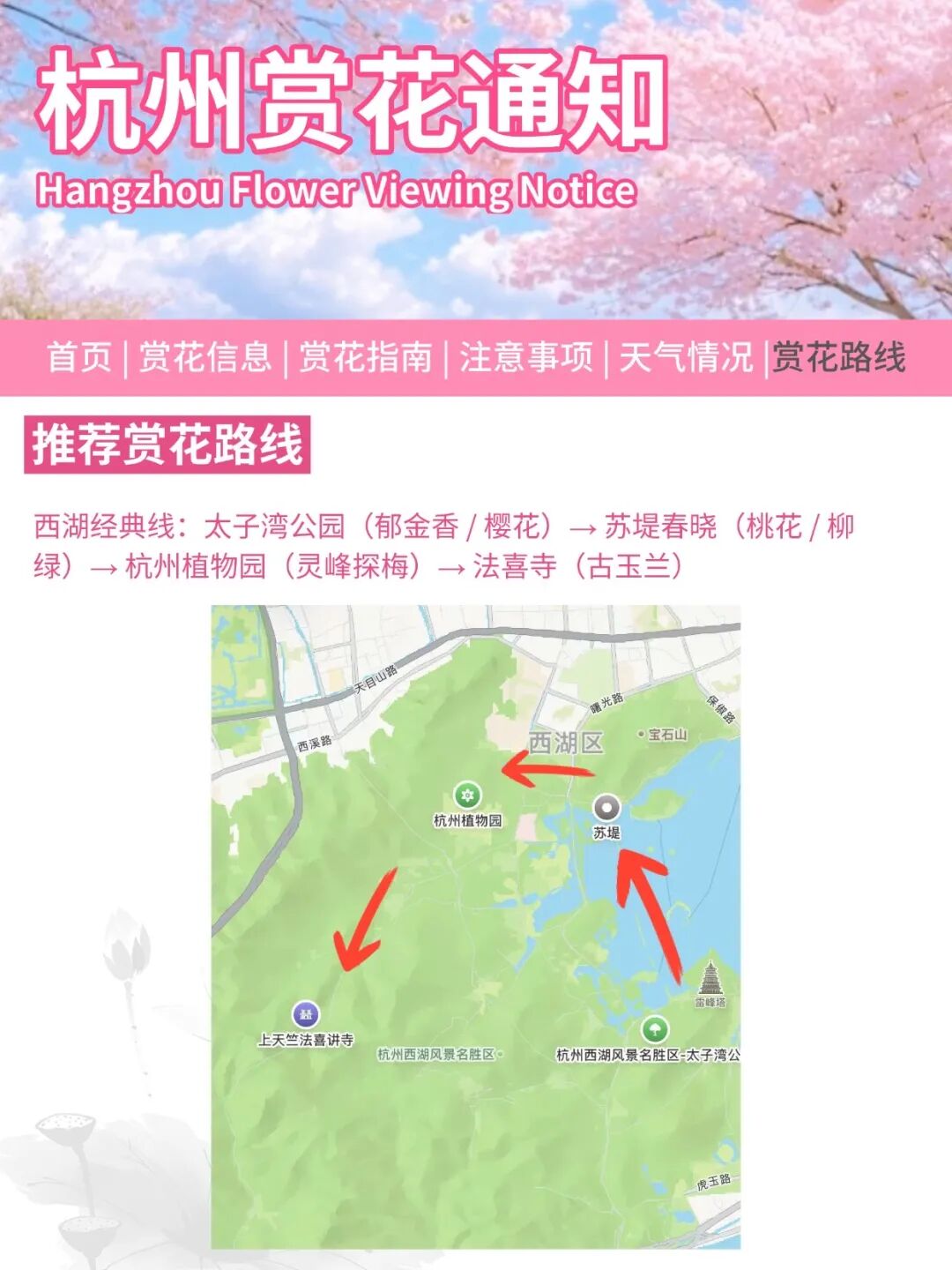 杭州赏花季来了，这份时间表刚好用得上