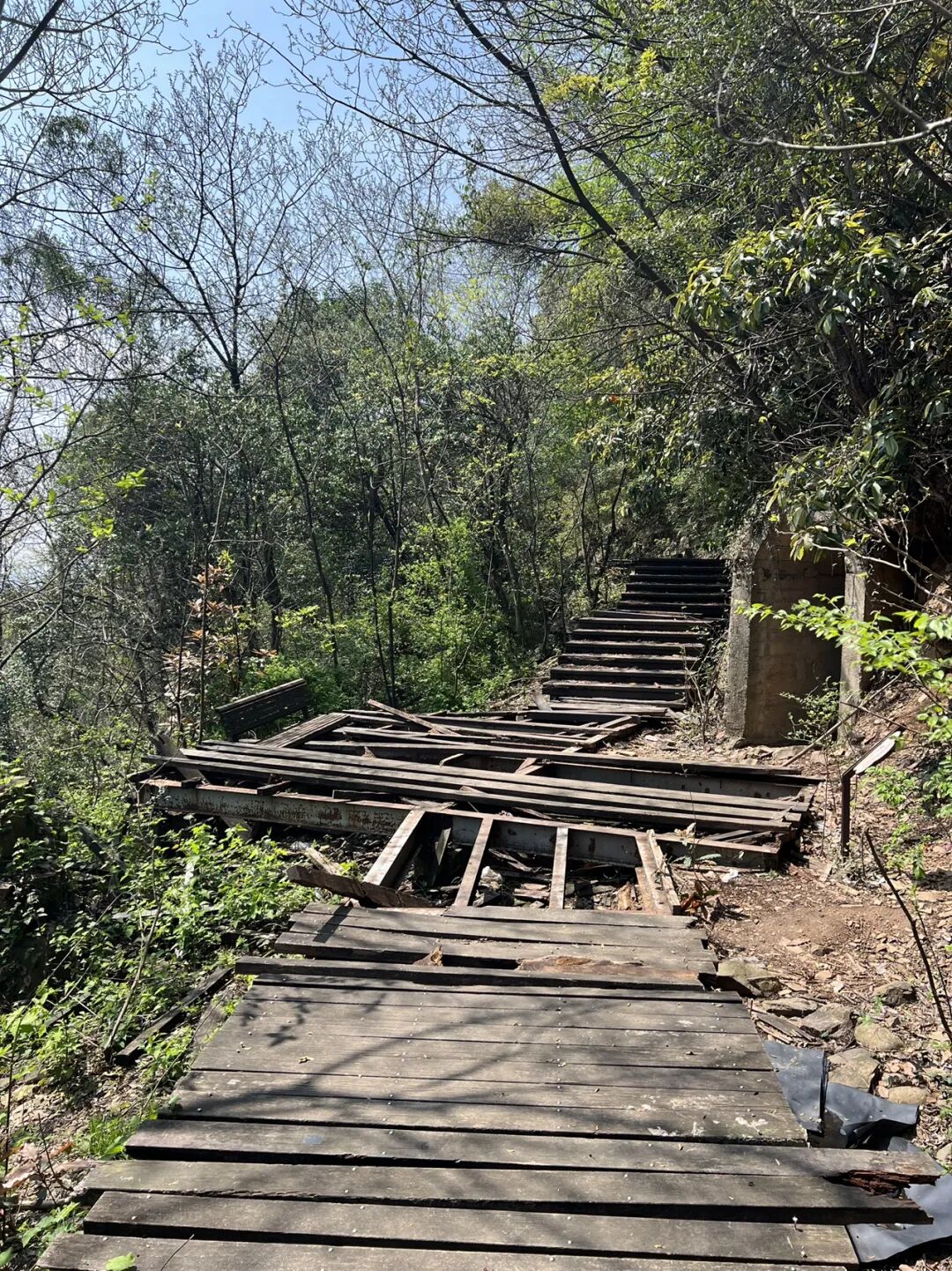 杭州城北藏了座山,半小时到却像进山林
