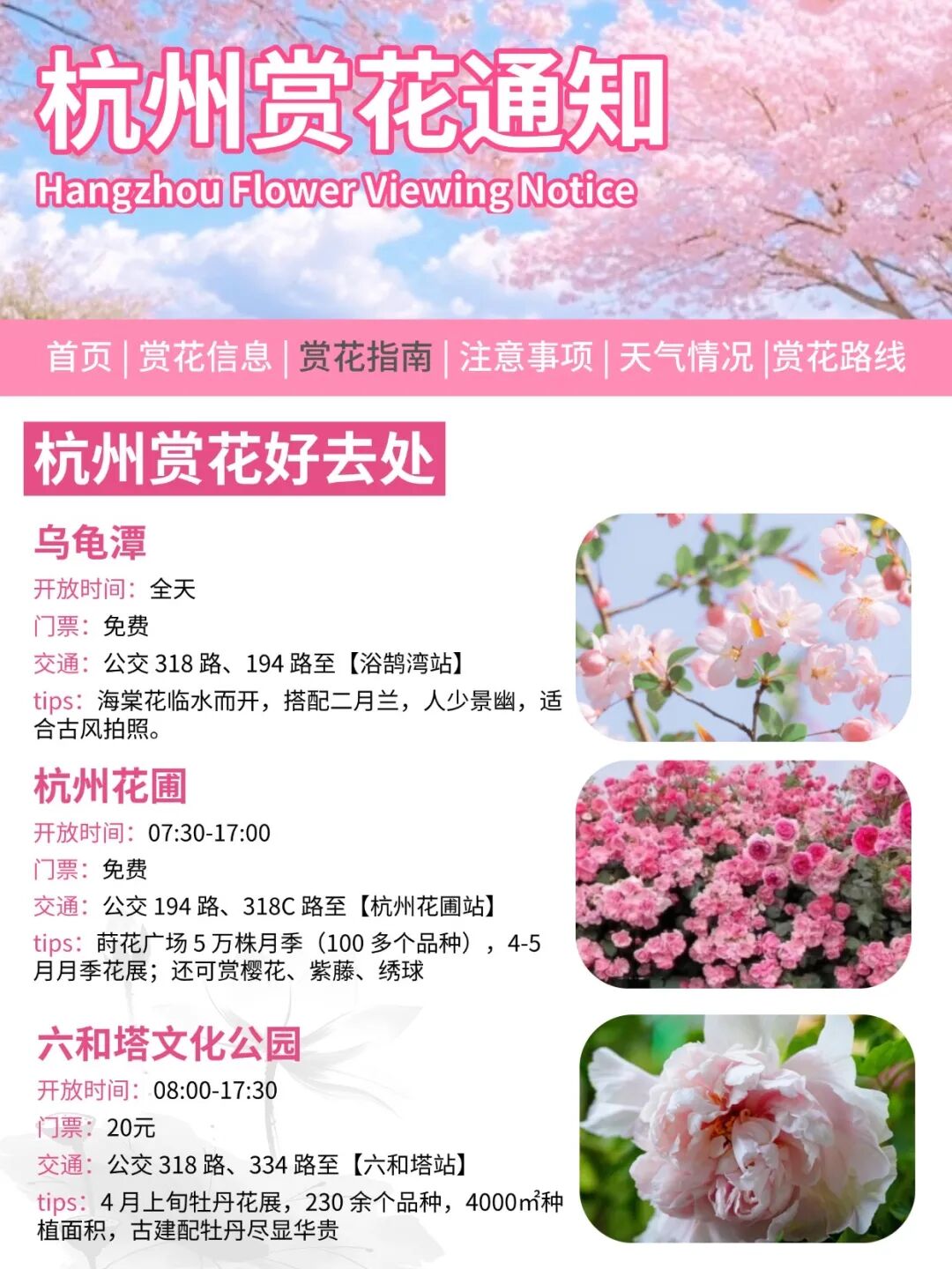 杭州赏花季来了,这份时间表刚好用得上
