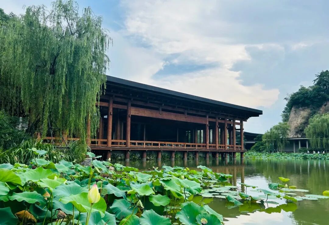 临水而建的木质建筑与荷叶