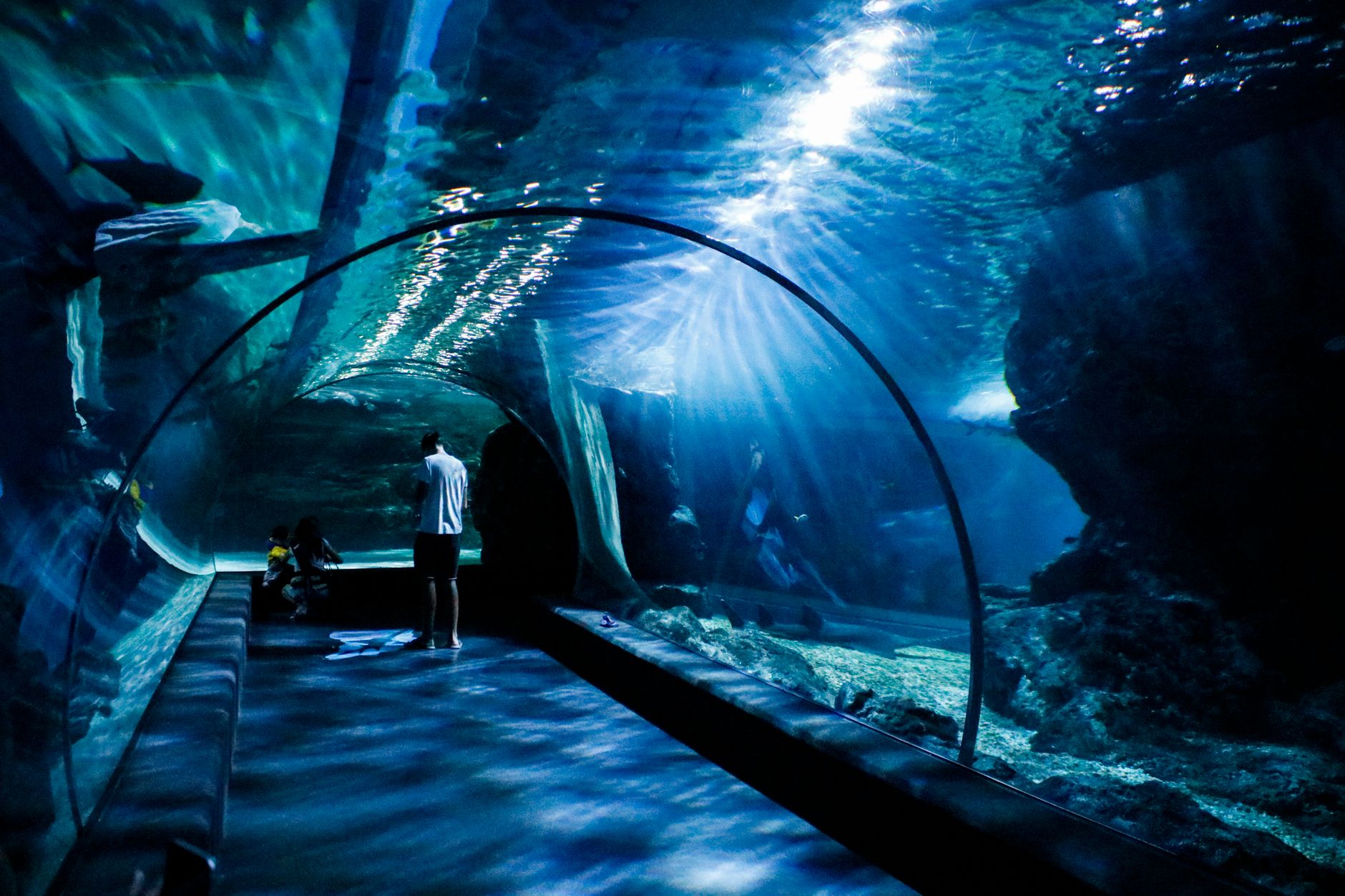 西溪水族公园海底隧道