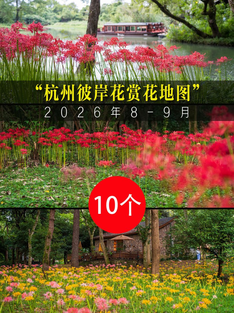 总封面三色彼岸花