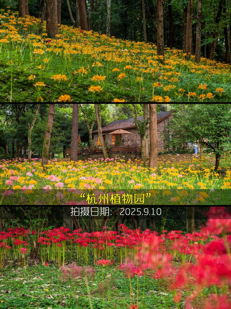 植物园三色合集
