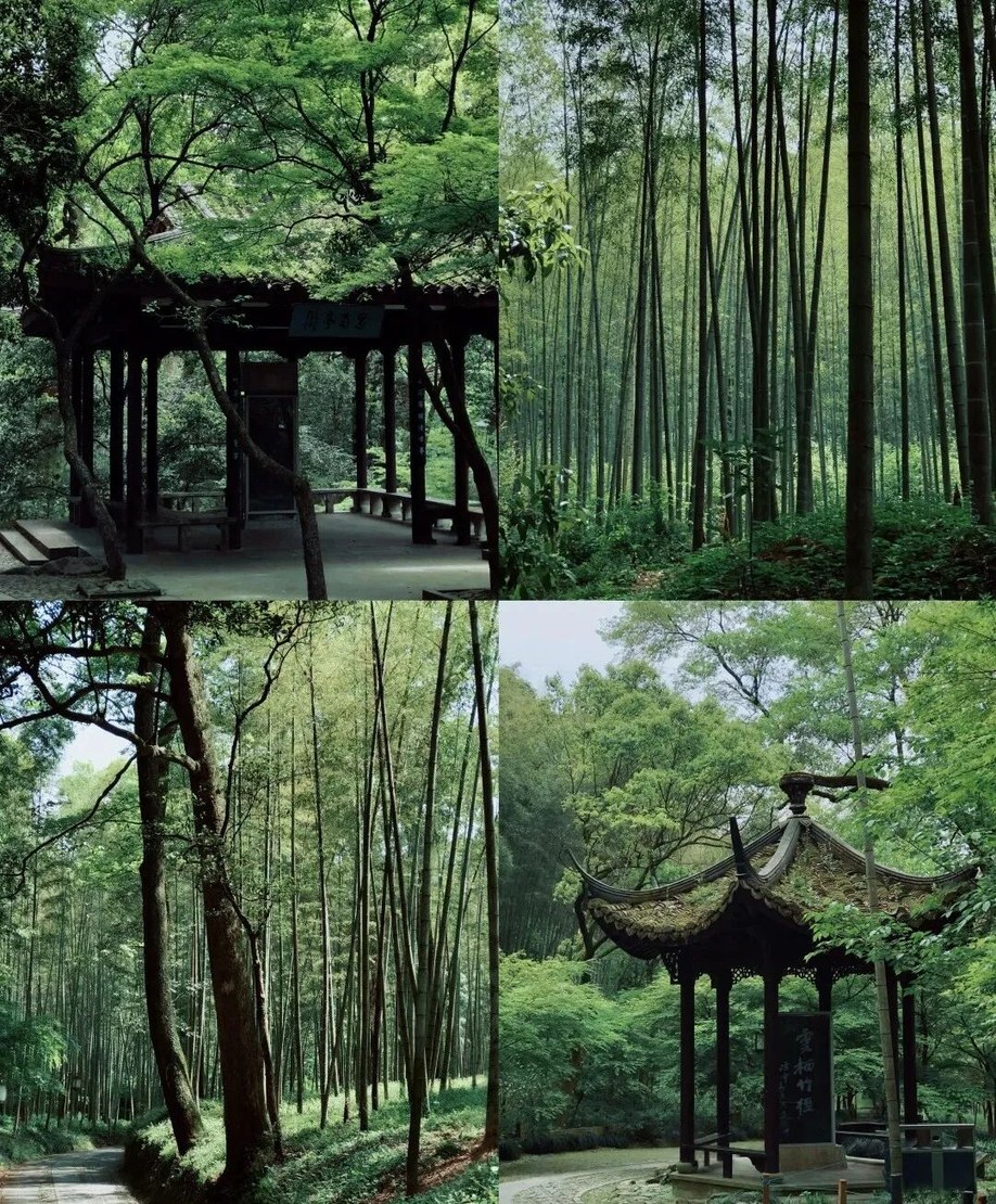 竹林栈道