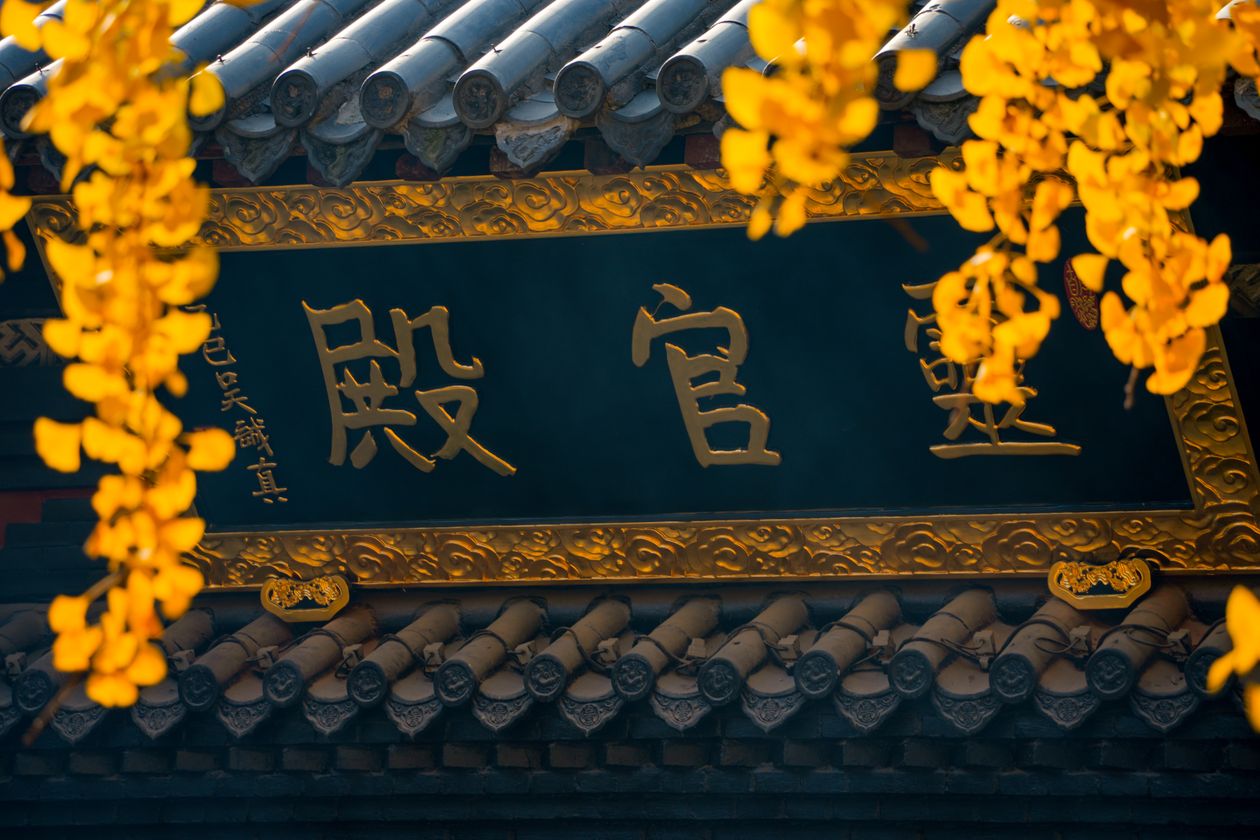 五云山真际寺千年银杏
