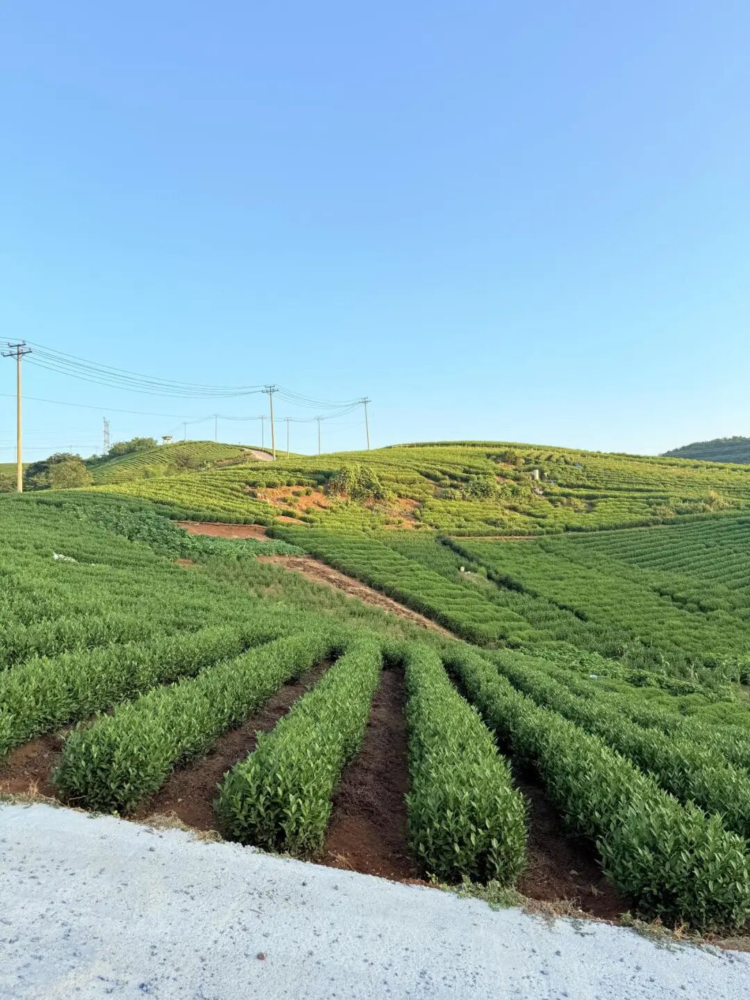 沈邱线茶园山路