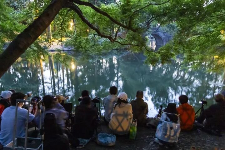 金光穿洞经典
