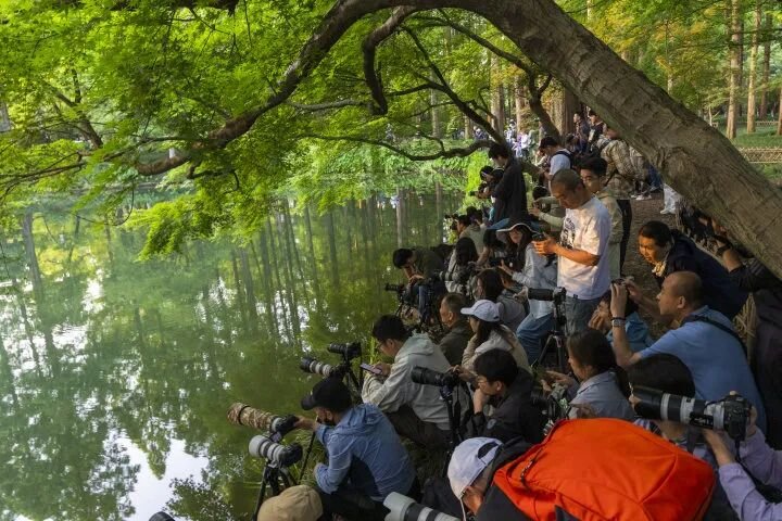 金光穿洞柔和