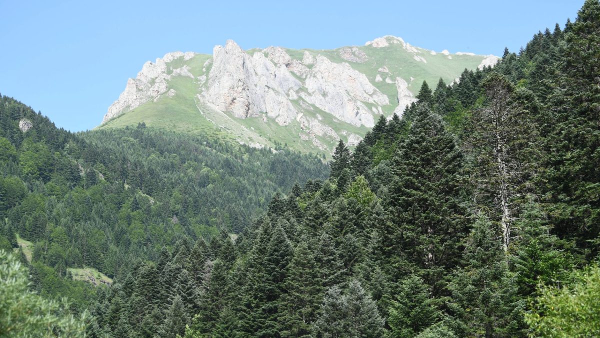 临安响板石，免费桥洞玩水