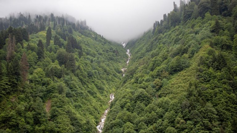 开进临安大山里，让手机信号替你请假