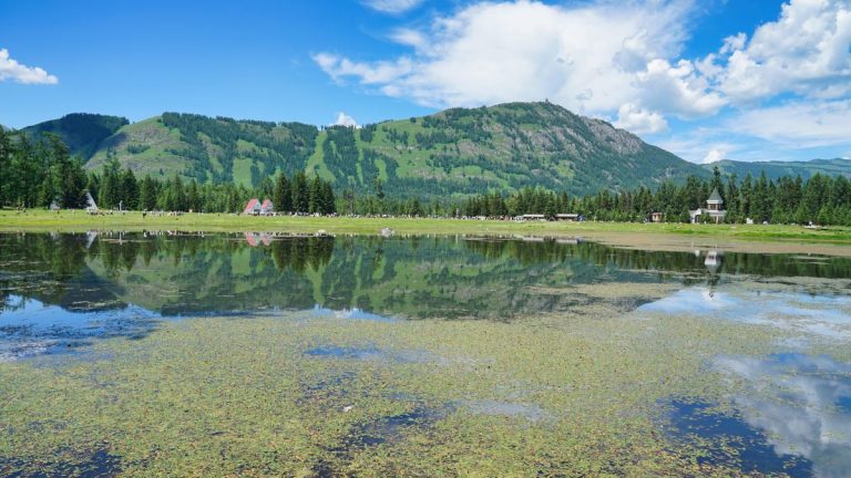 西湖旅游攻略丨一场大雨后，西湖水位回归正常——荷