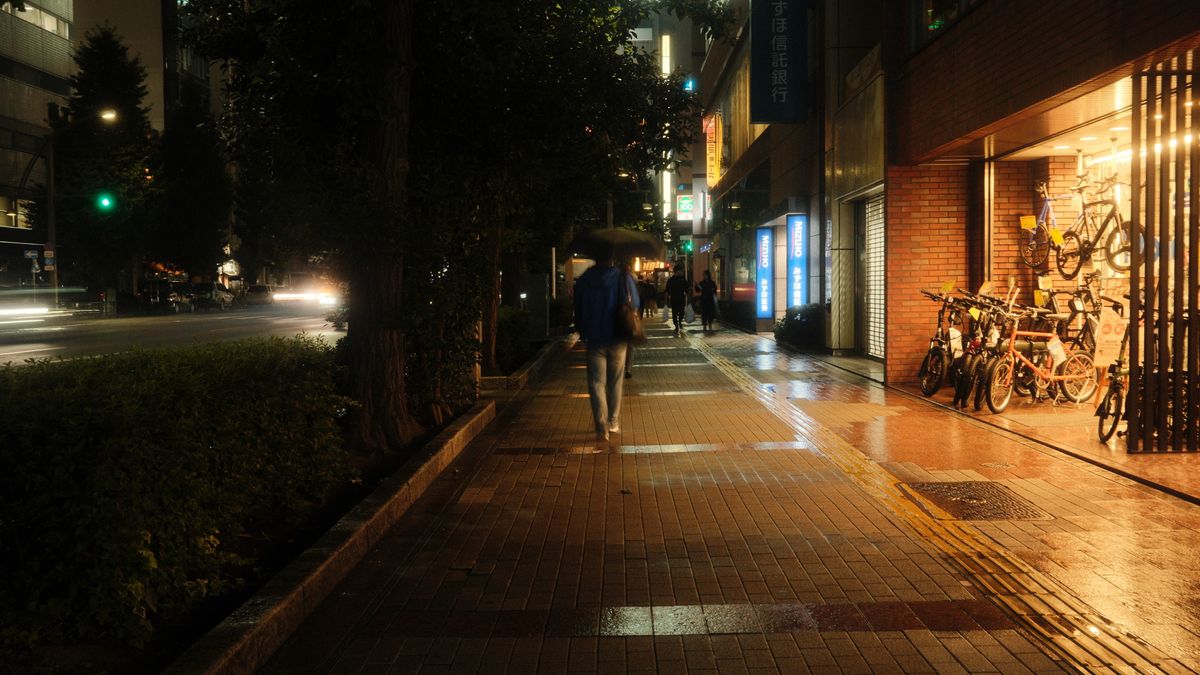 西湖荷花季全攻略：初开到盛放