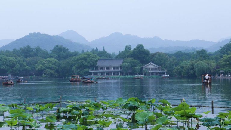 西湖好书丨走读西湖 茅奖得主王旭峰的独家西湖ci