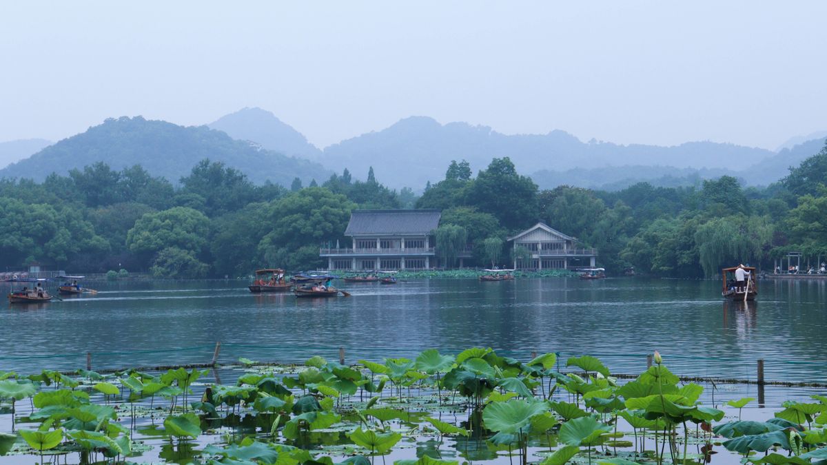 西湖好书丨走读西湖 茅奖得主王旭峰的独家西湖ci