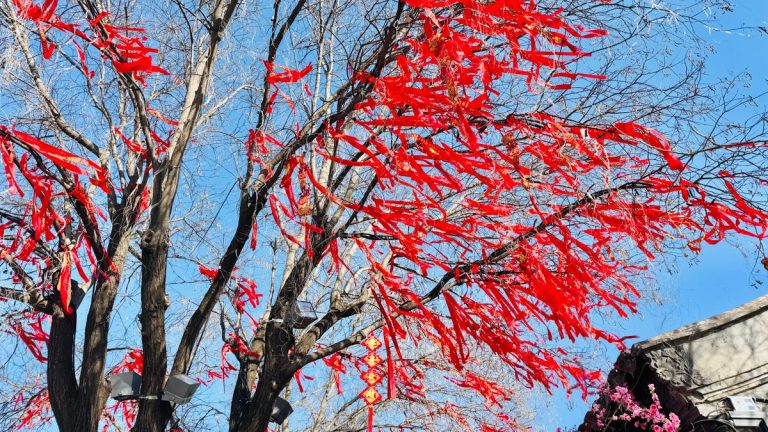 春节西湖错峰游终极指南