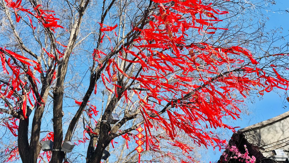 春节西湖错峰游终极指南