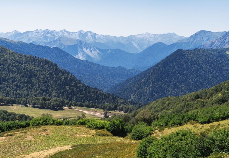 逃离城市热浪，去山泉边等一场萤火虫