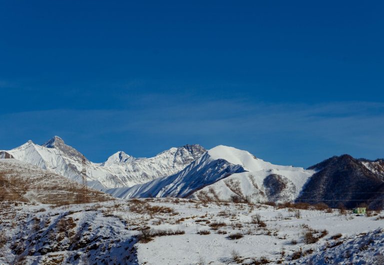 雪落到中午就化了，你得赶早