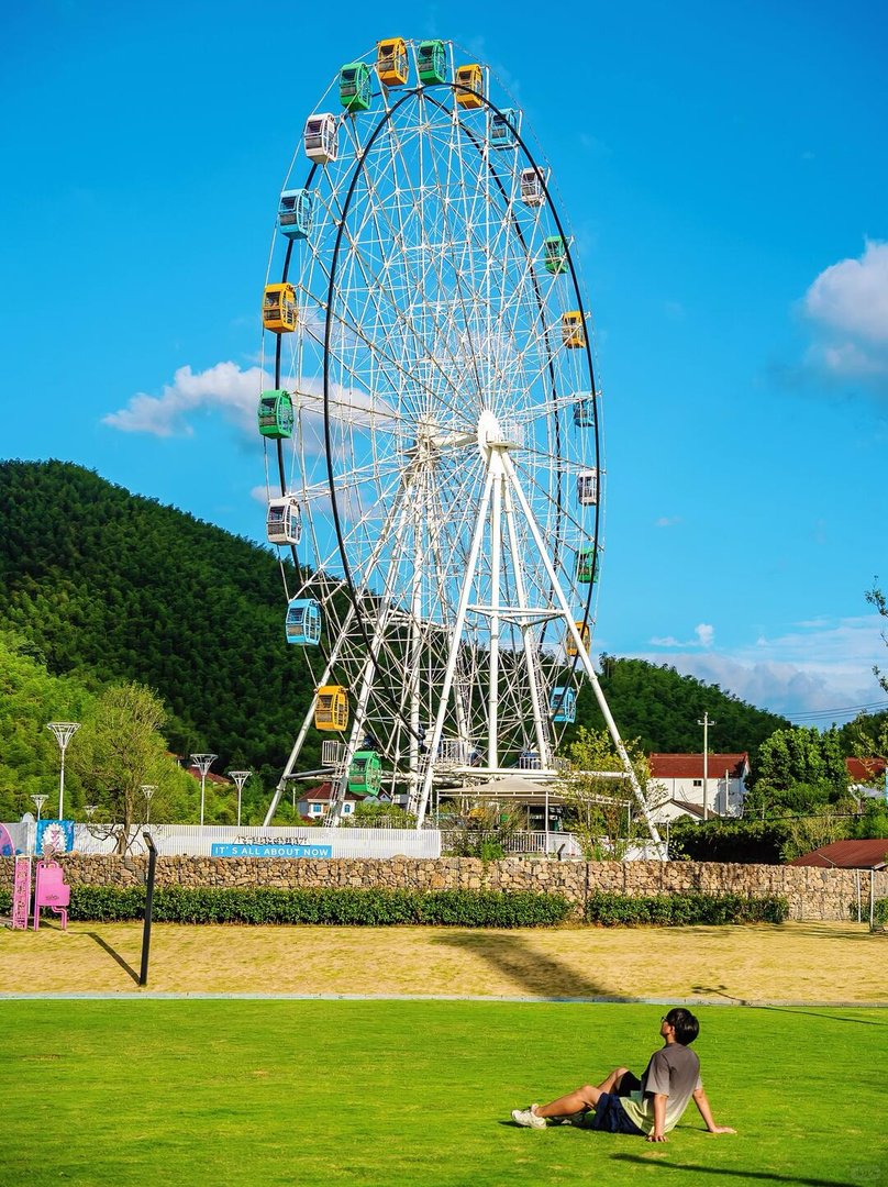 摩天轮草坪