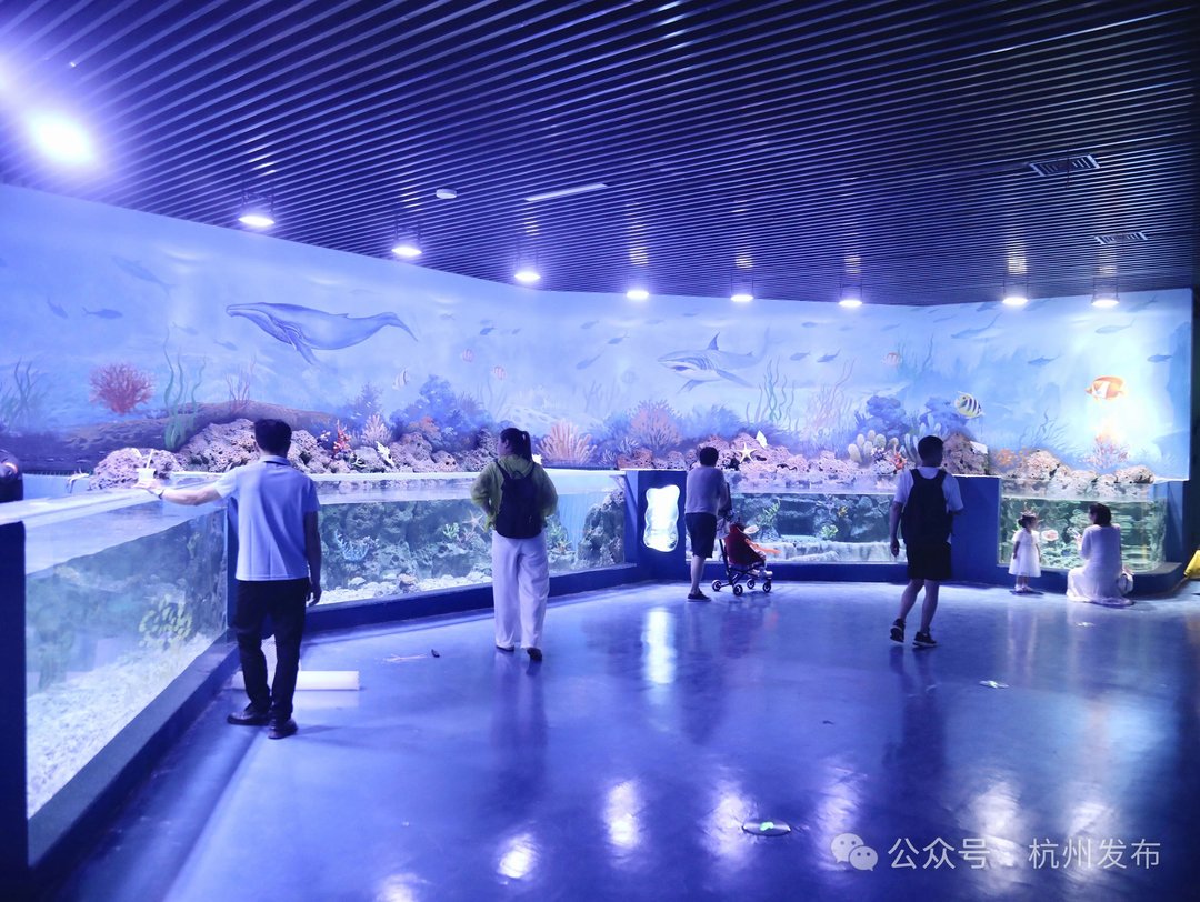 西溪水族公园水下生态实景