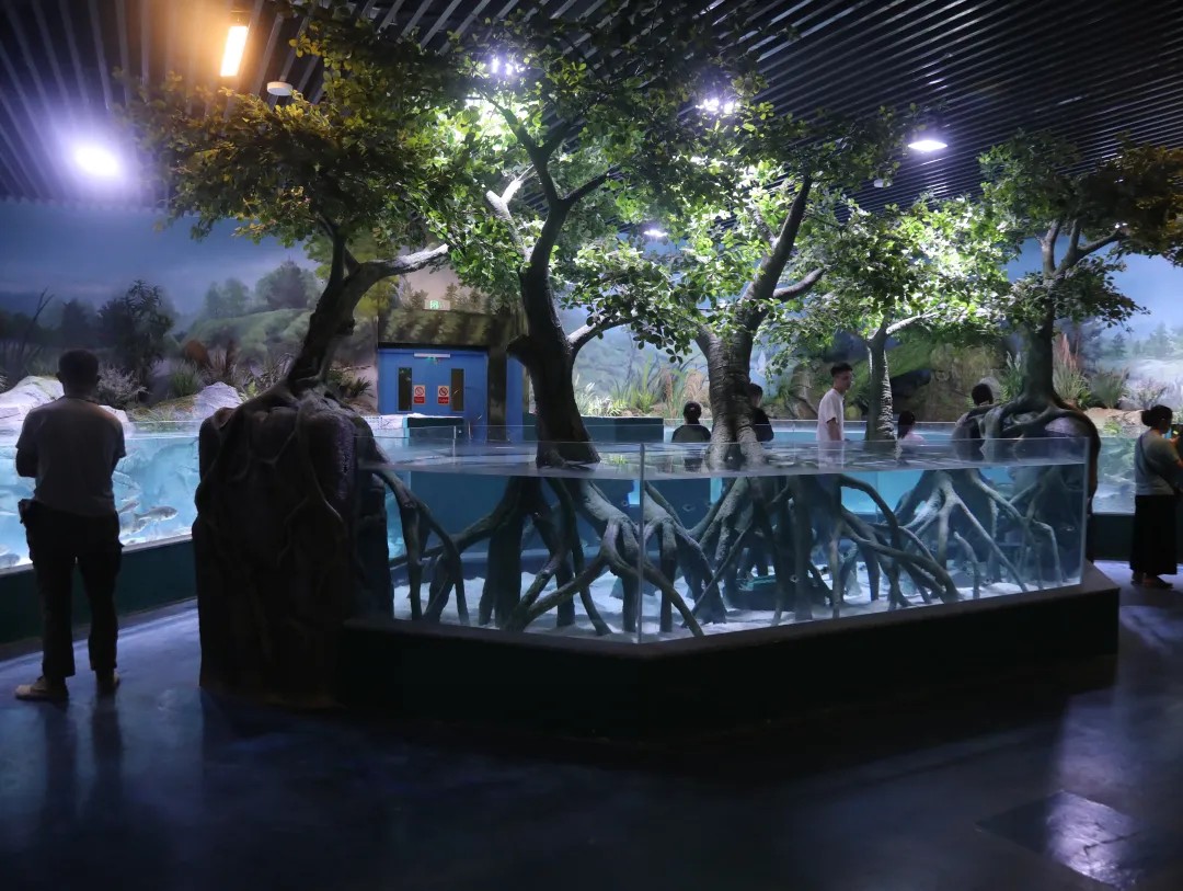 西溪水族公园海底隧道实景