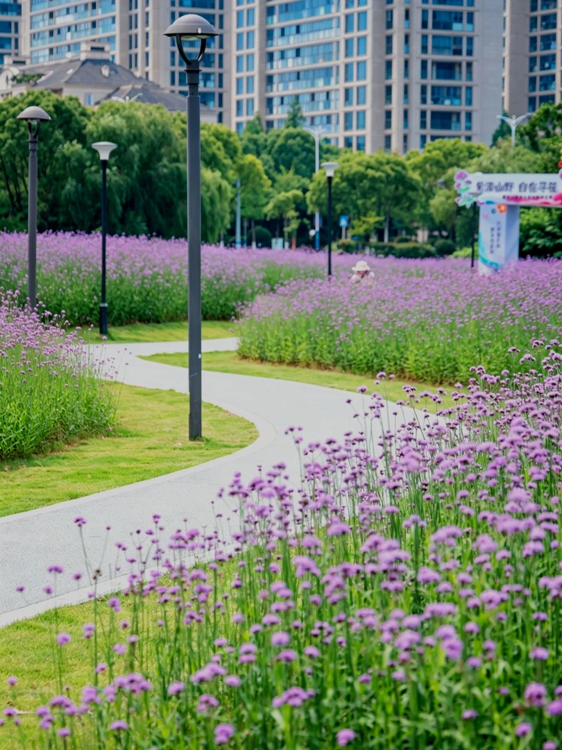 紫薇花廊