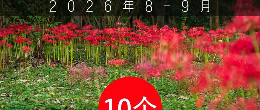 杭州彼岸花地图：10个打卡点，8月底先看黄花