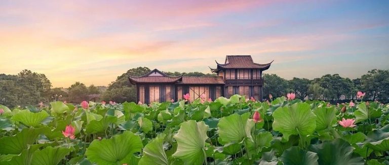西湖荷花进入巅峰期，这座最懂”借”景的园子才是赏荷天花板