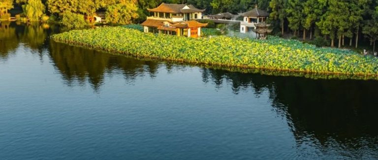 曲院风荷：康熙题碑、乾隆写诗，西湖最风雅的一池荷