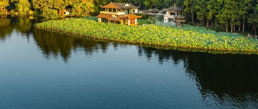曲院风荷：康熙题碑、乾隆写诗，西湖最风雅的一池荷